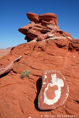 Felsen-Spiegelei